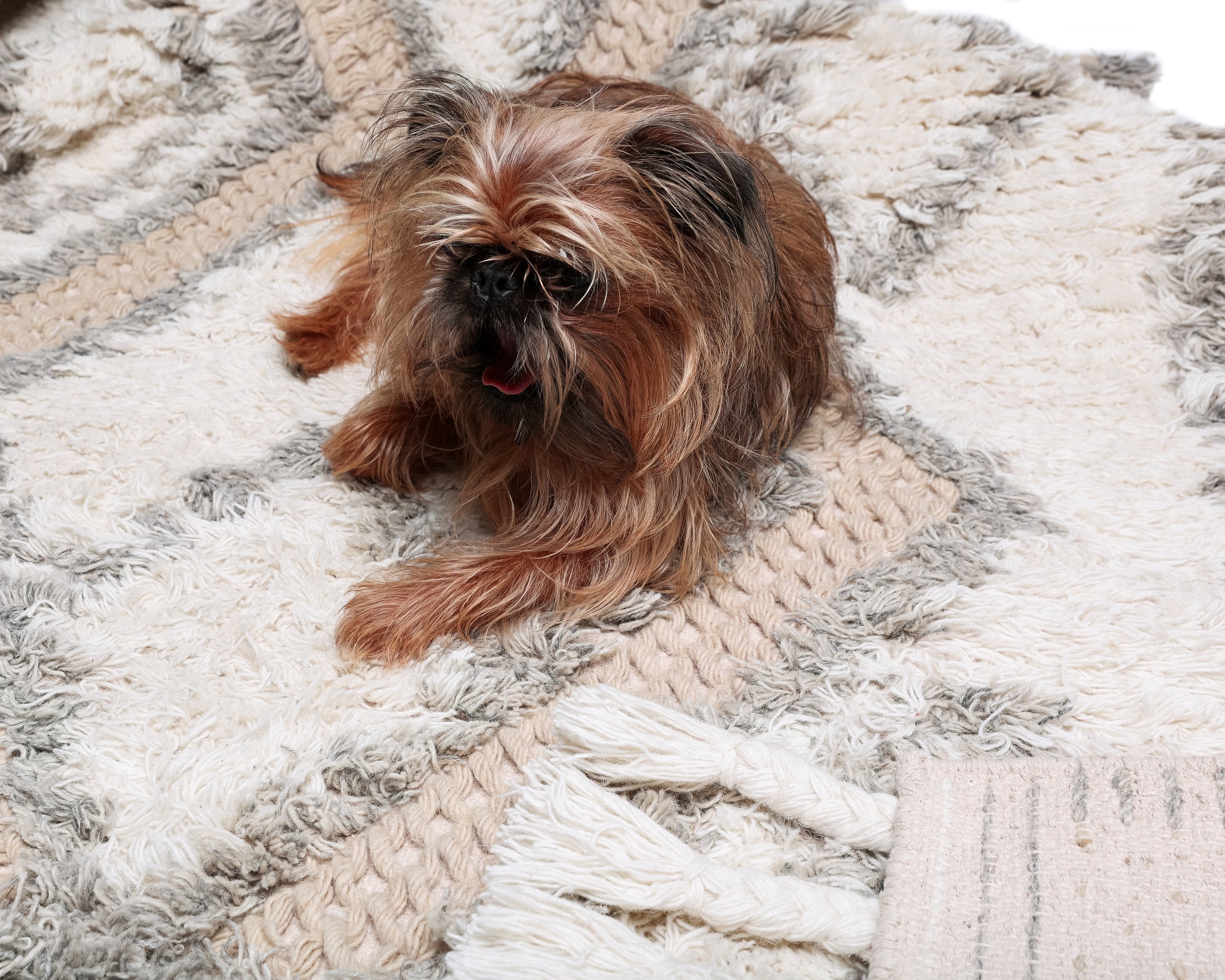 PILLOWS & RUGS